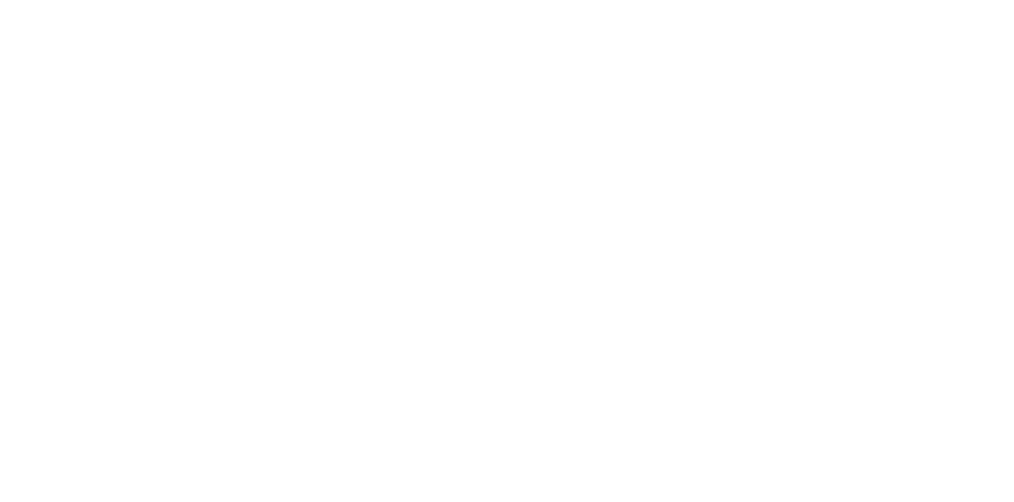 Our Values Our Values
