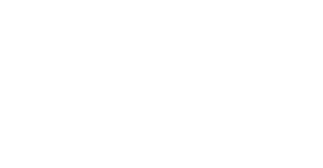 The Challenges of Risk Management The Challenges of Risk Management